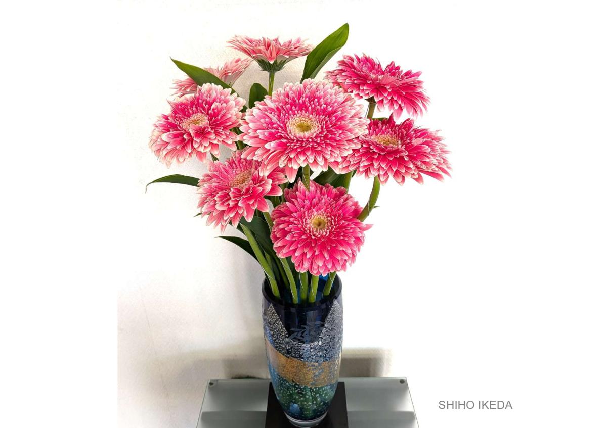 °˖✧お花photo #58✧˖°