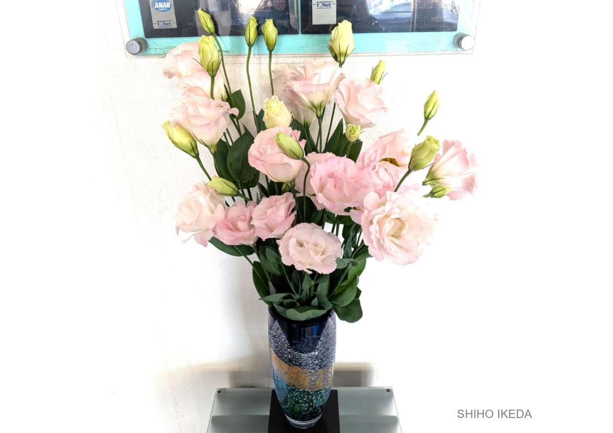 °˖✧お花photo #61✧˖°