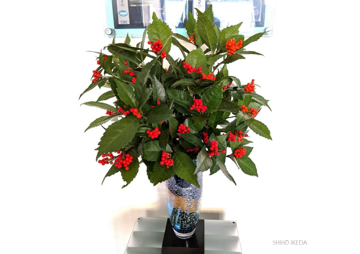 &deg;˖✧お花photo #63✧˖&deg;