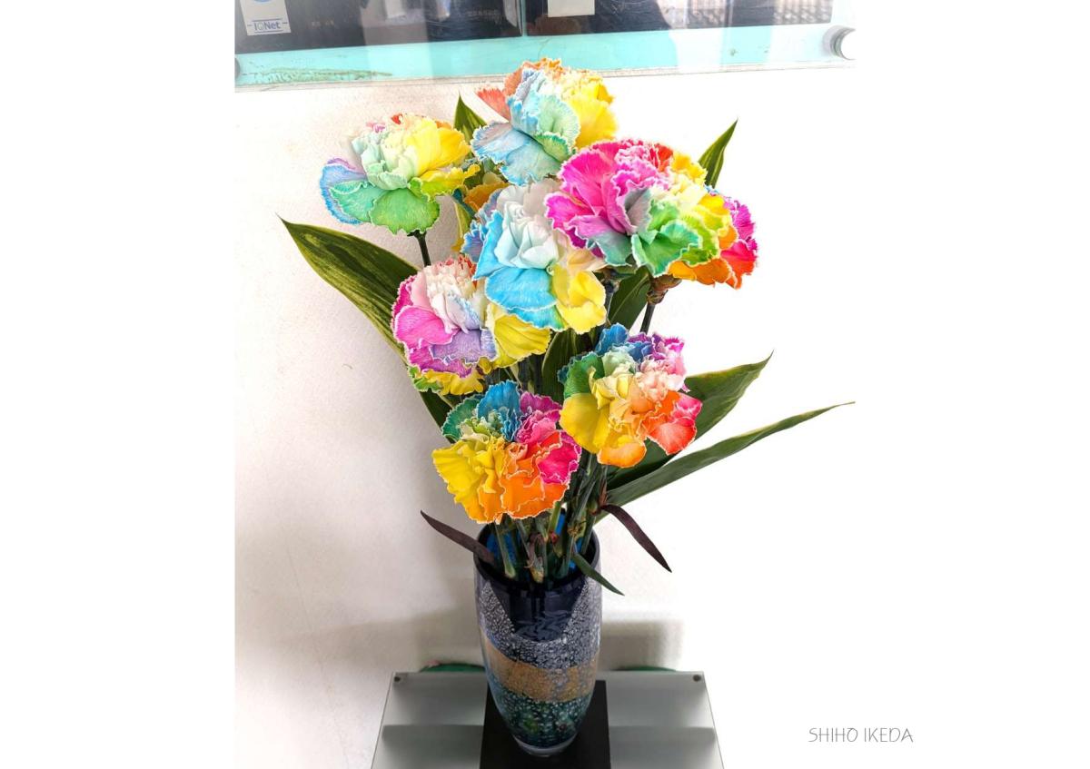 &deg;˖✧お花photo #65✧˖&deg;