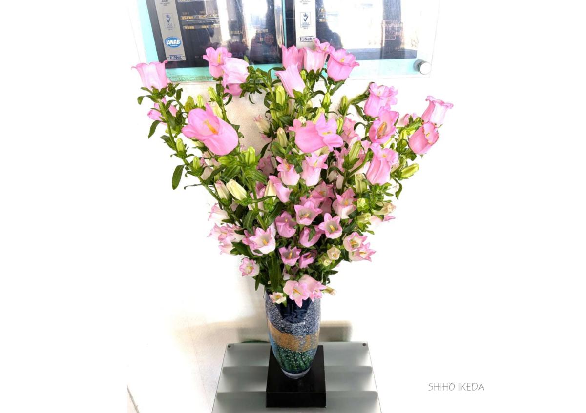 &deg;˖✧お花photo #66✧˖&deg;