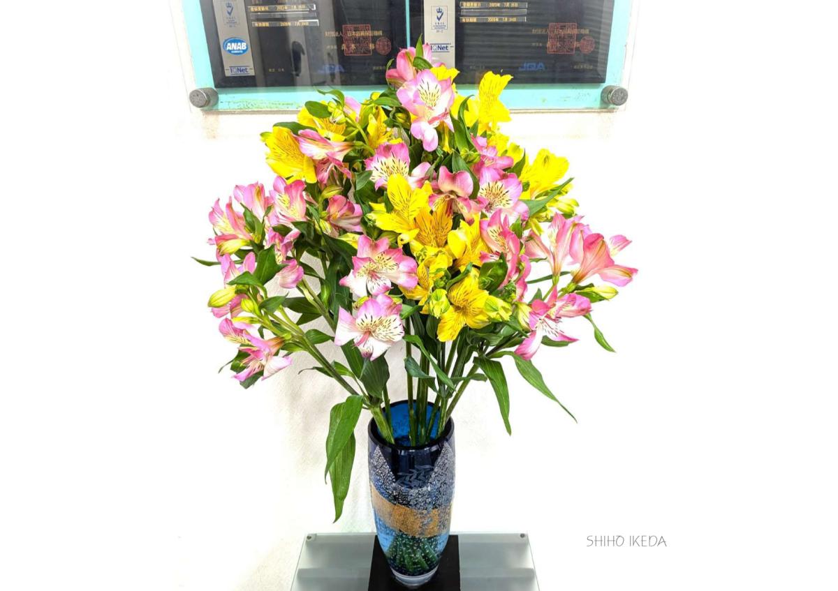 &deg;˖✧お花photo #67✧˖&deg;