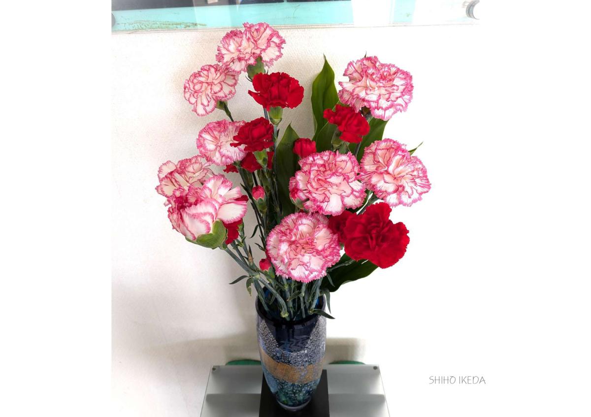 °˖✧お花photo #68✧˖°